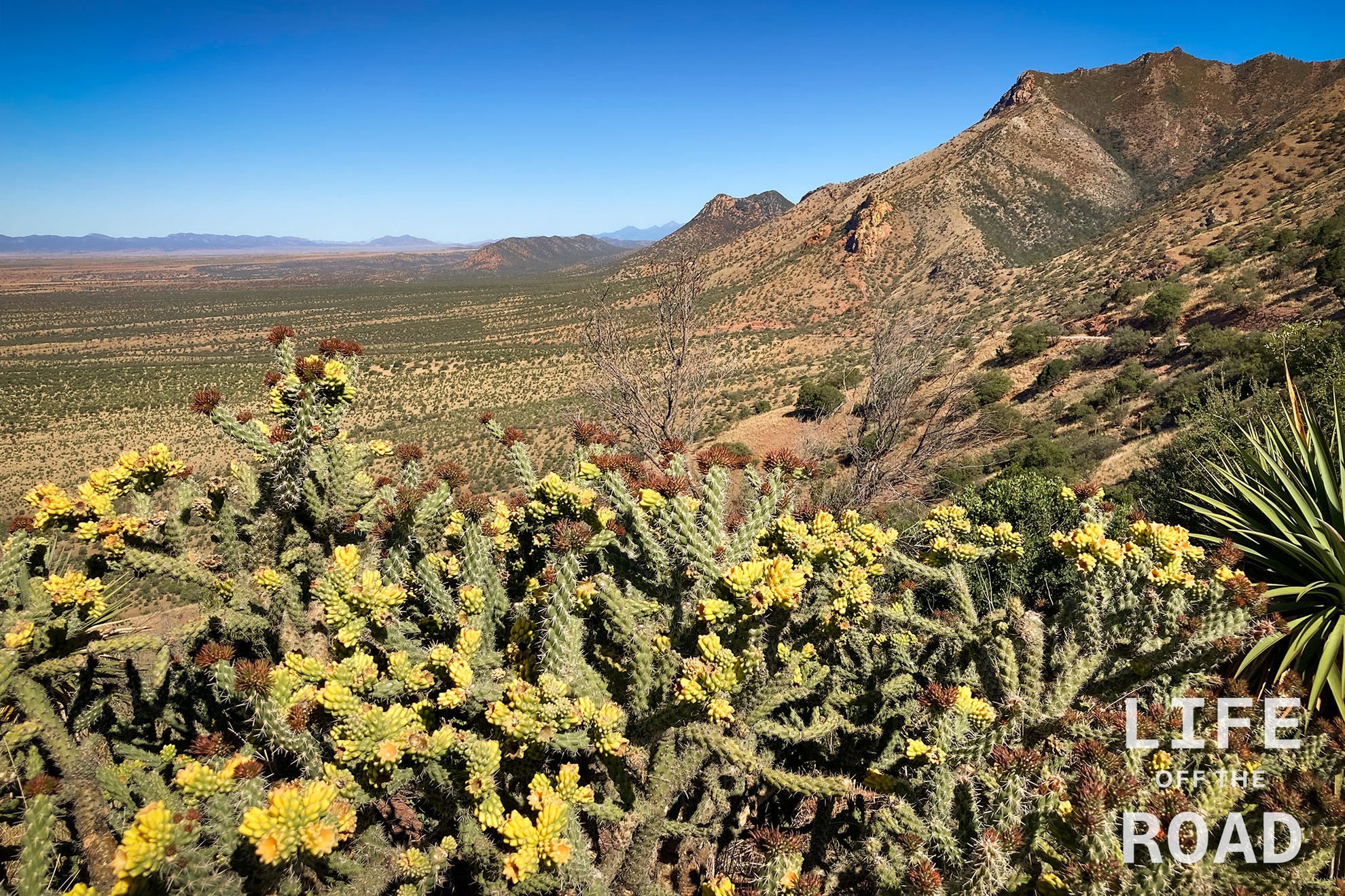 Coronado National Monument