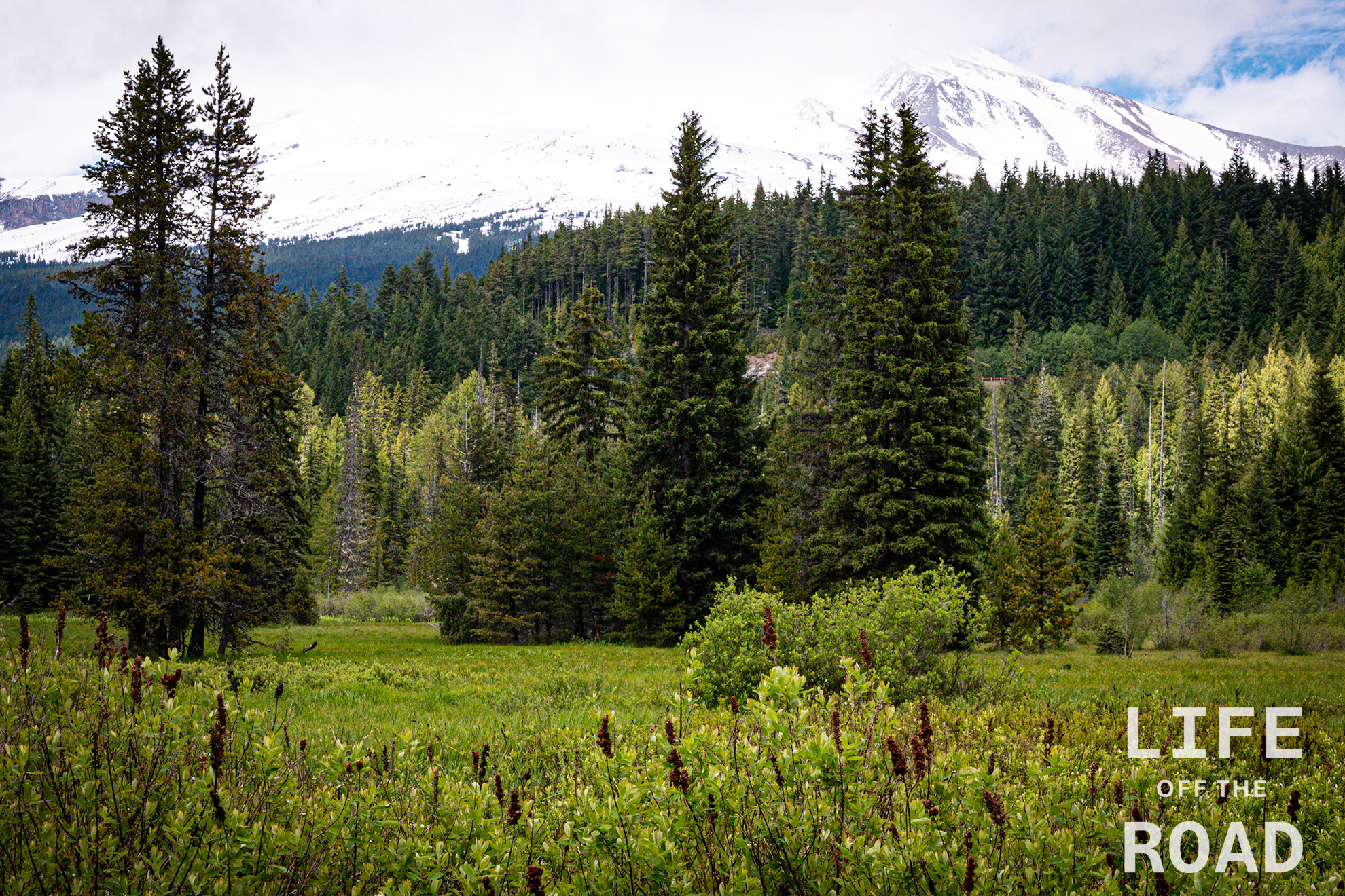 Summit Meadows