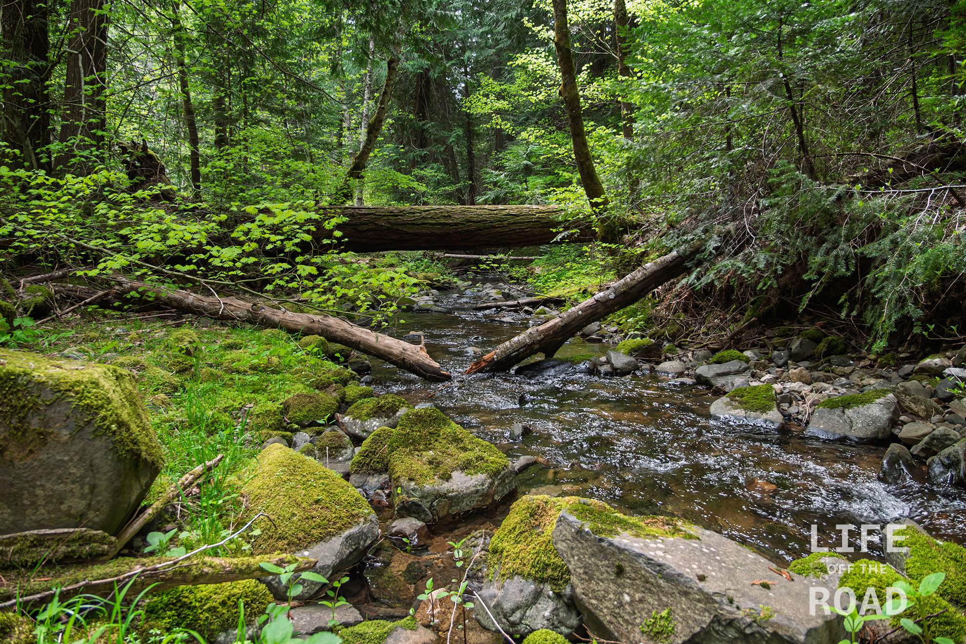 Lusk Creek